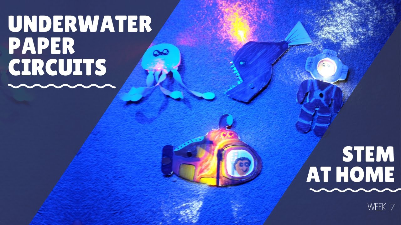 Create a light up aquarium environment and learn about the ocean