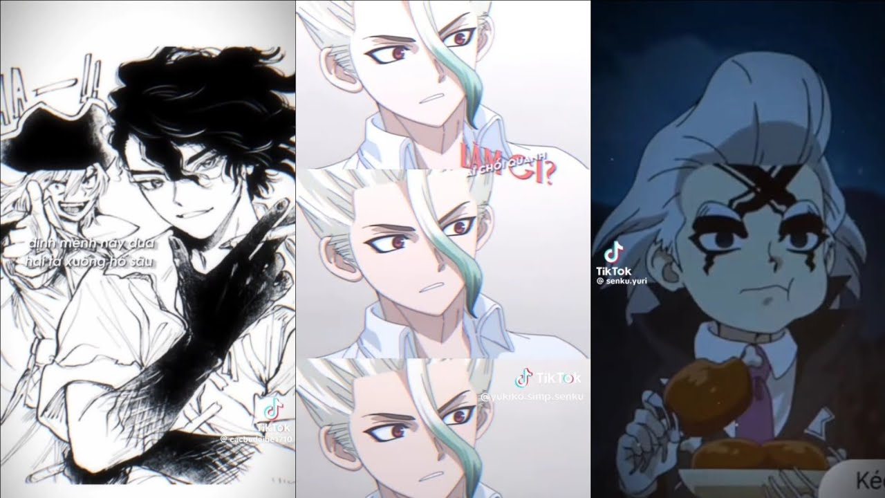#1 Tổng hợp các video Tiktok về Dr Stone.
