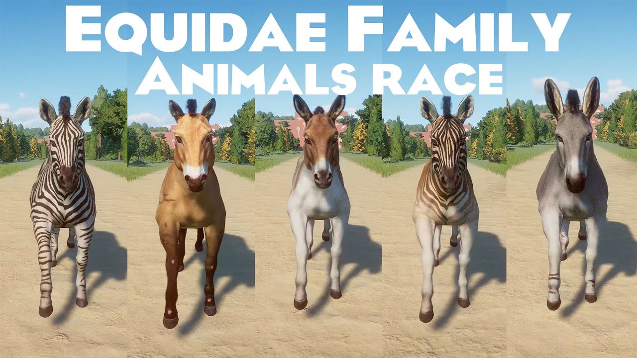 Equidae Family Animals Races in Planet Zoo included Plains Zebra, Quagga, Wild Donkey & etc