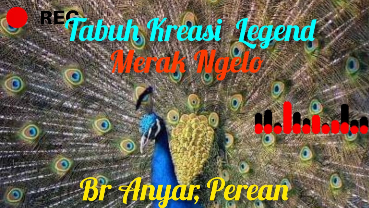 Tabuh Kreasi Merak Ngelo
