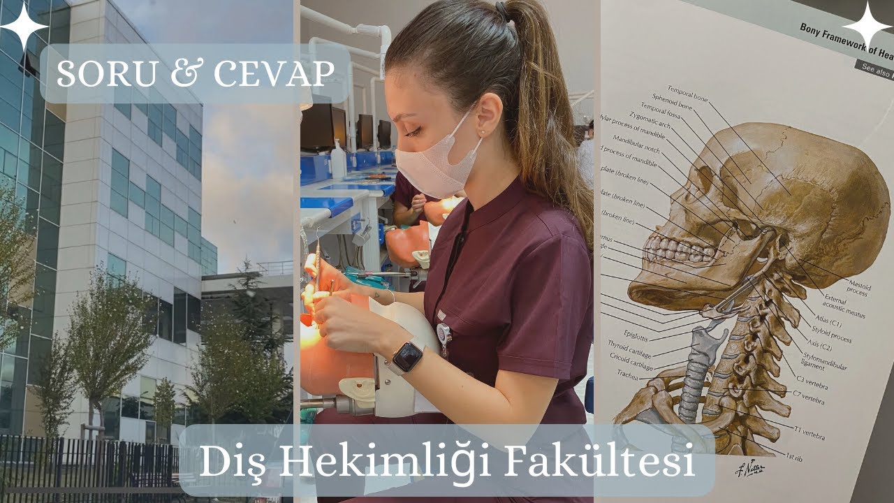 SORU & CEVAP l Diş Hekimliği Fakültesi Hakkında Bilinmeyenler