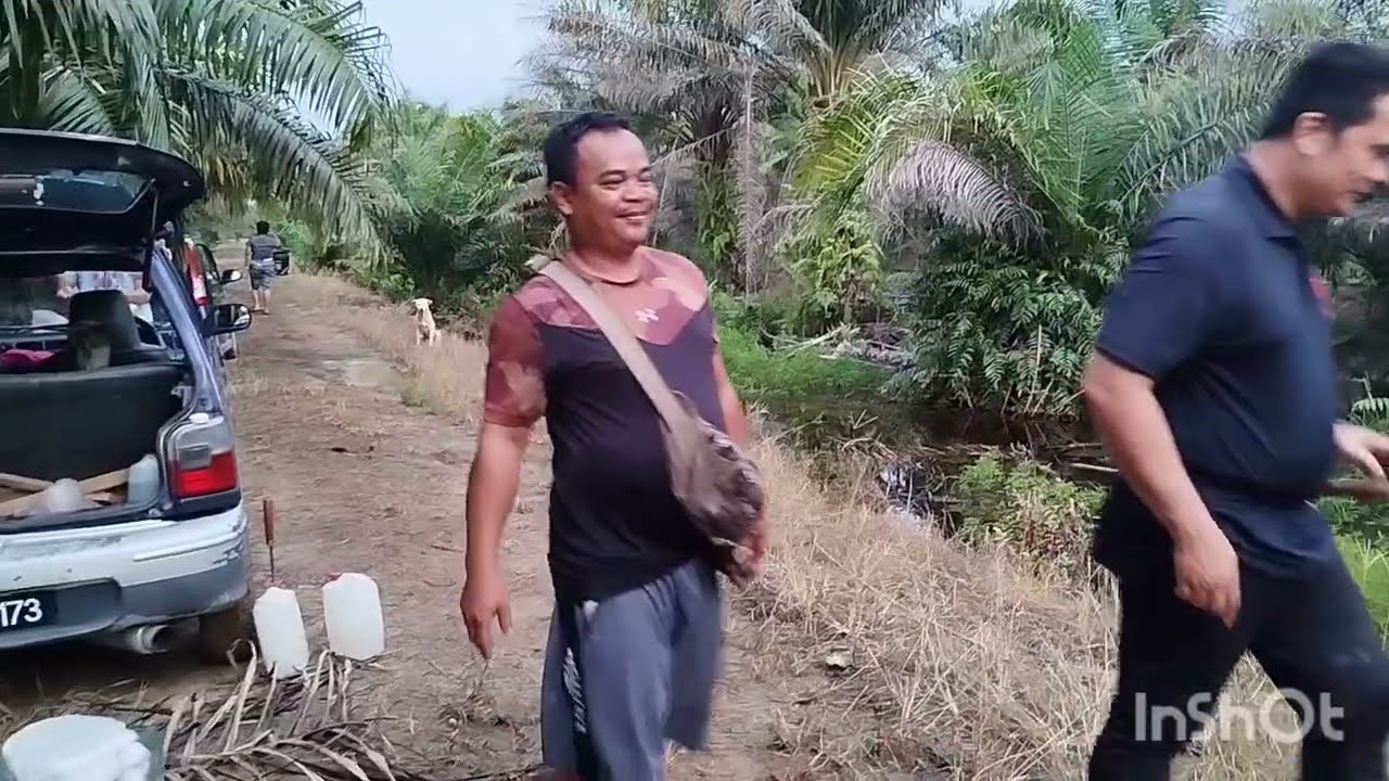 Dengan perasan gembira semasa hendak pulang,tiba tiba pancing strike tidak henti henti.