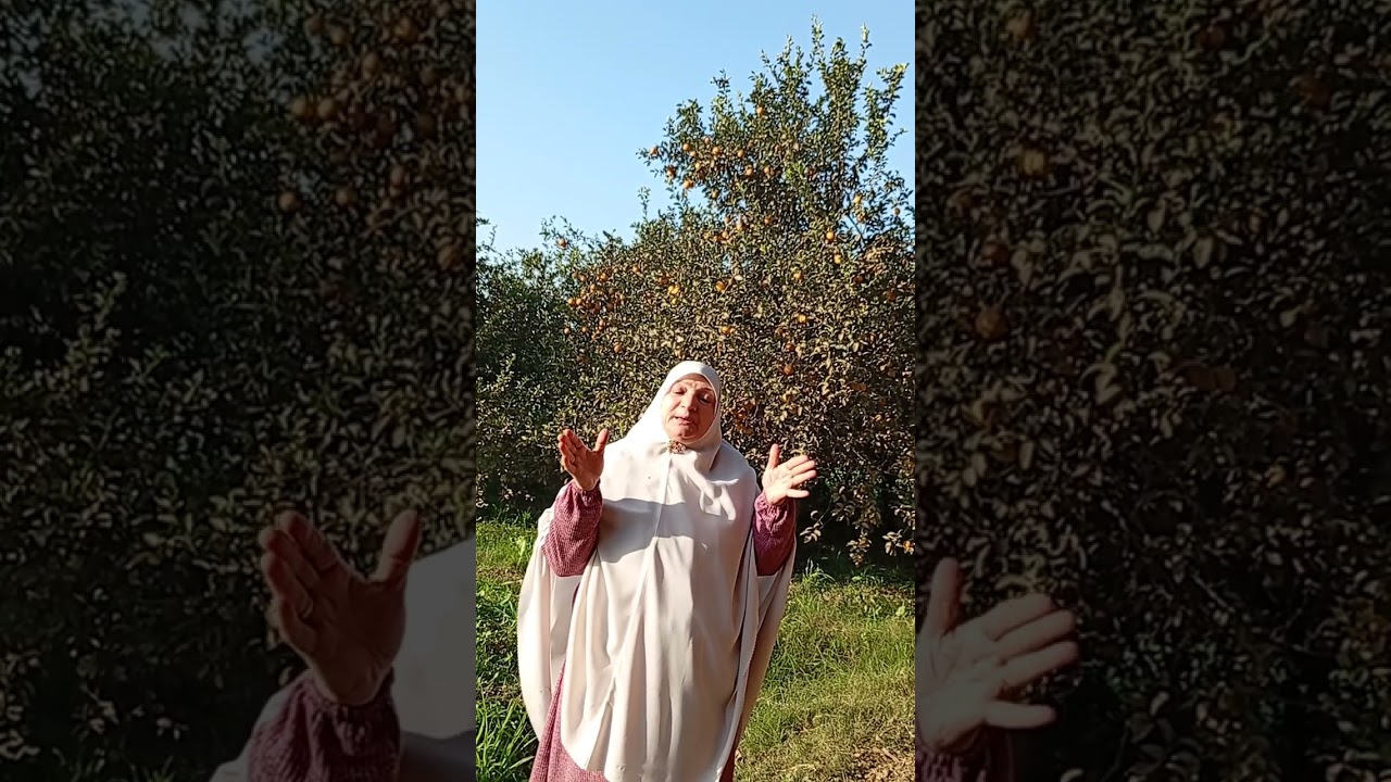 لا تقنطوا من رحمة الله 