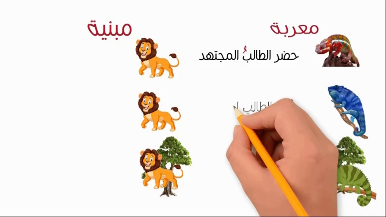 الإعراب والبناء - المعرب والمبني من الأسماء _  ذاكر النحو بسهولة