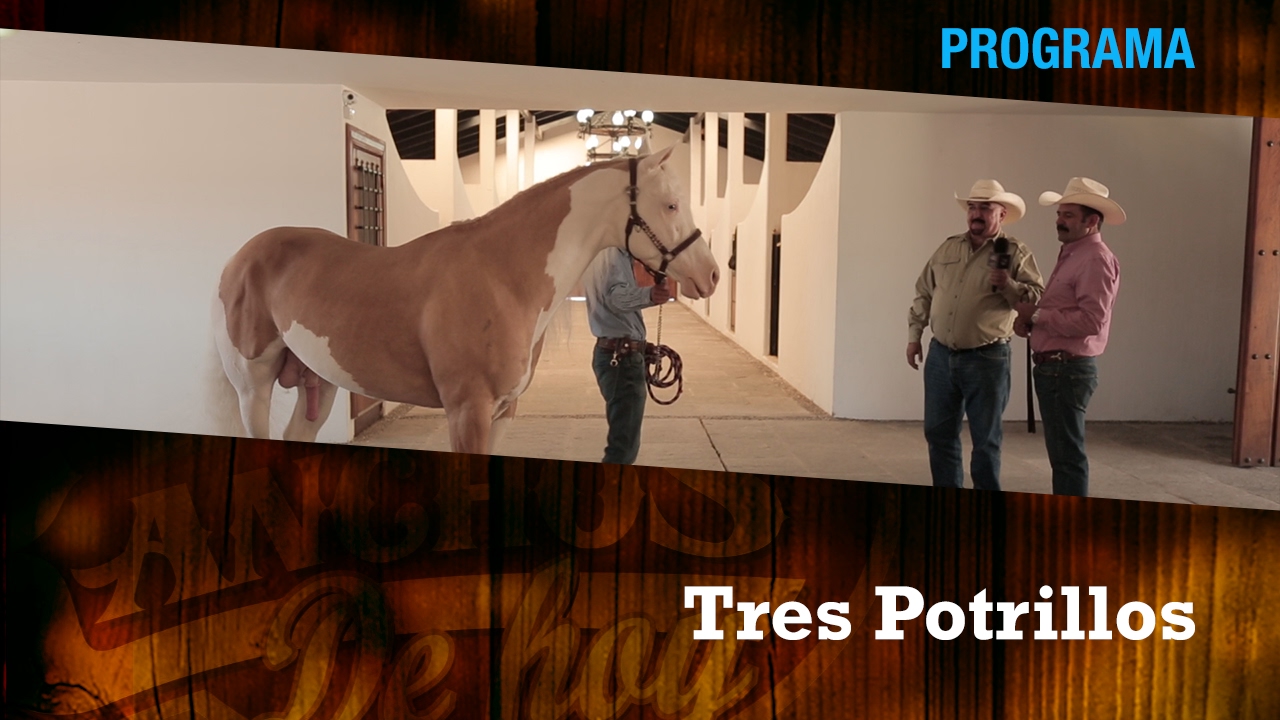 RANCHO TRES POTRILLOS