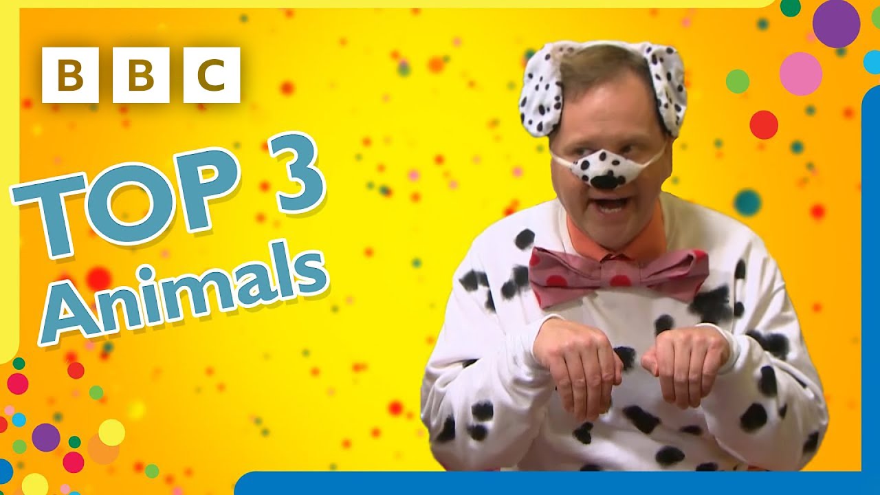 Mr Tumble's Top 3 Animals | Mr Tumble and Friends