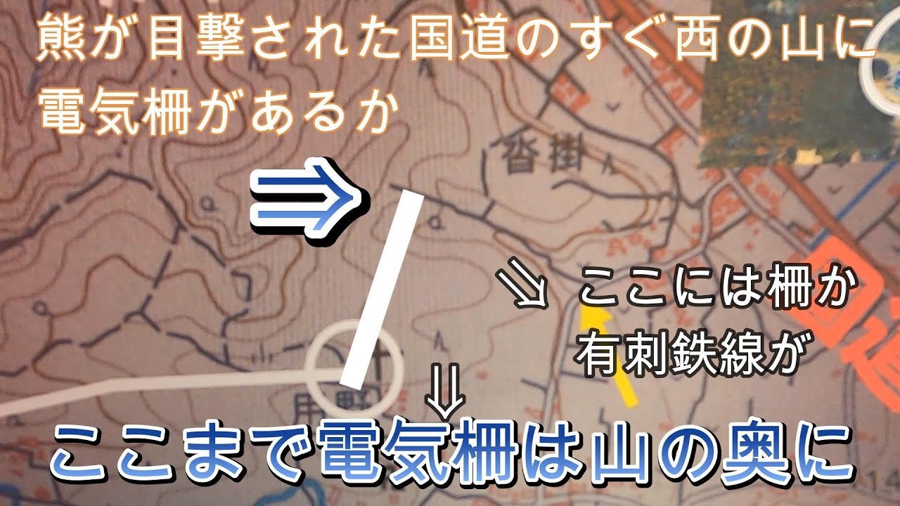 熊が捕獲された国道の西のゴルフ場の更に北の電気柵を歩いて調べています