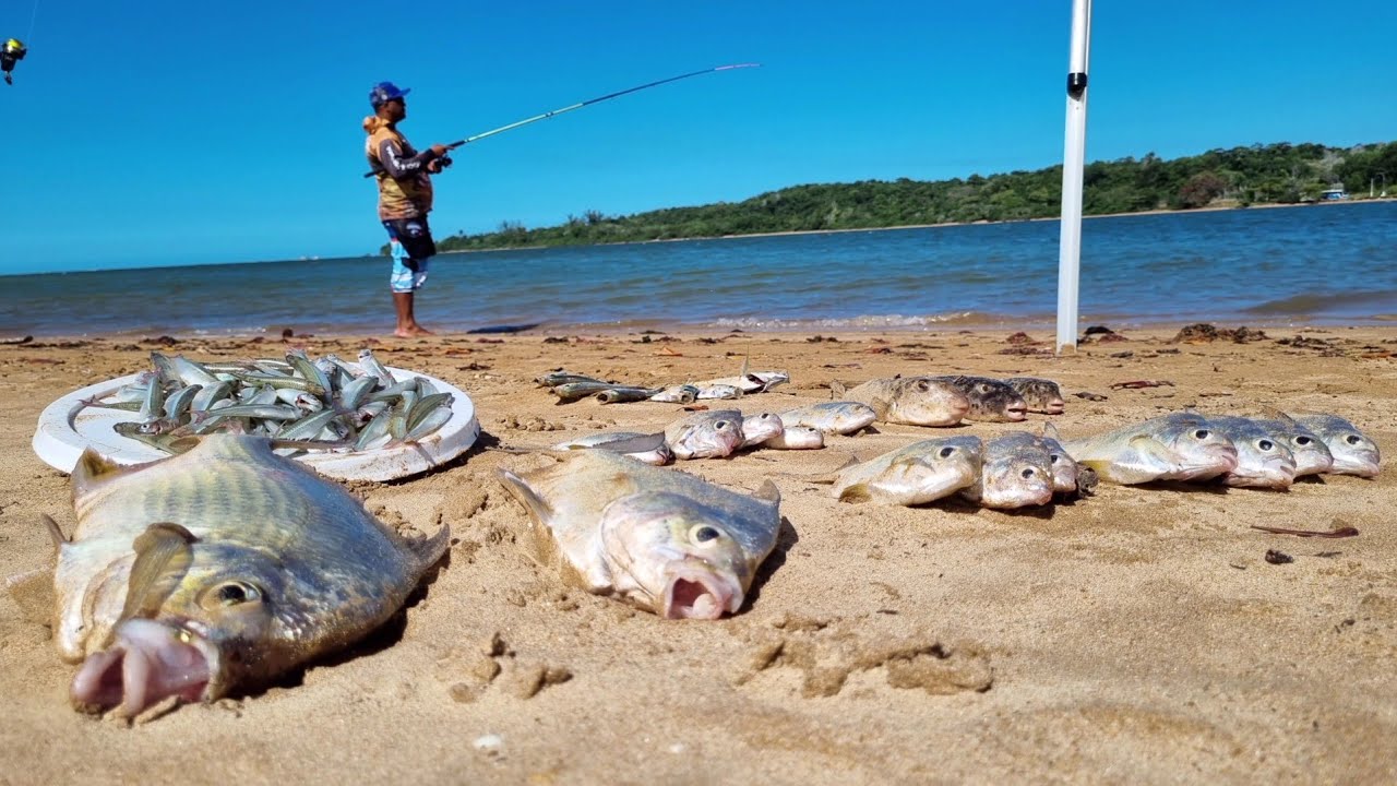 PESCA DE PRAIA usando MICRO anzol e pegando muitos peixes na beiradinha!!! Catch And Cook.