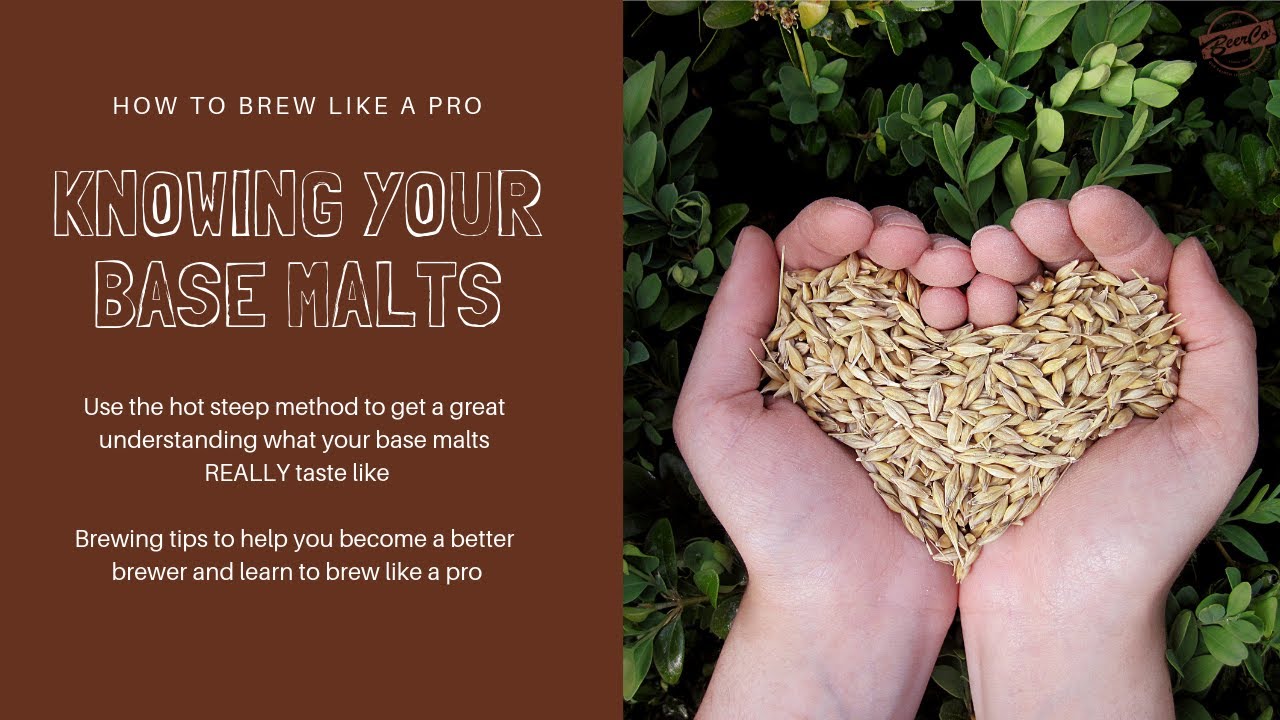 How to Brew Like a Pro - Knowing Your Base Malts