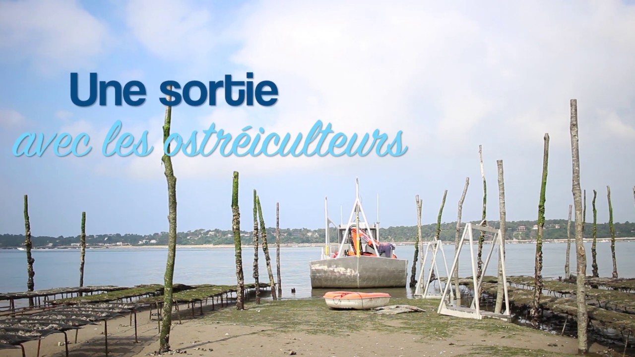 Embarquez avec un ostréiculteur du Bassin d'Arcachon!