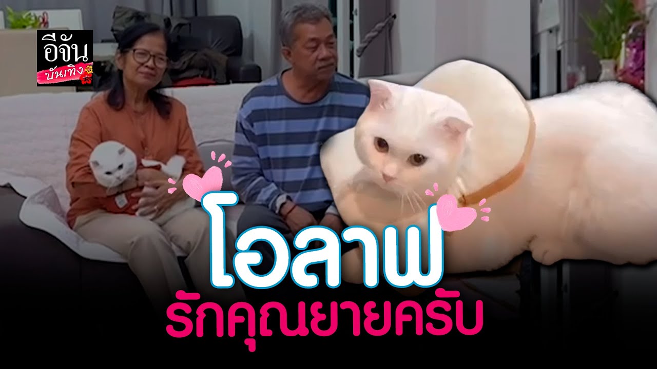 รู้เลยมรดกจะตกเป็นของใคร! เมื่อ #โอลาฟแมวพูดได้ เจอกับคุณยาย งานนี้ถึงกับลืมพ่อ