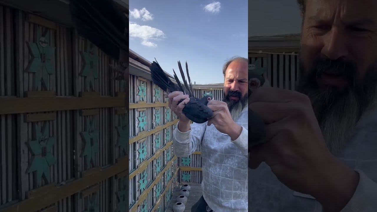 حكاوي النش مبتخلصش 🕊️🕊️فرجه شويه حلويات من غية السفير 🖤🏆 