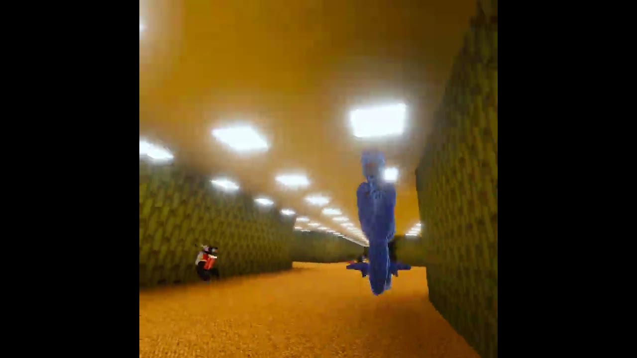 THE GREAT CHASE OF THE BACKROOMS #scarybaboon #chase #run #running #vr #chaos #loud 