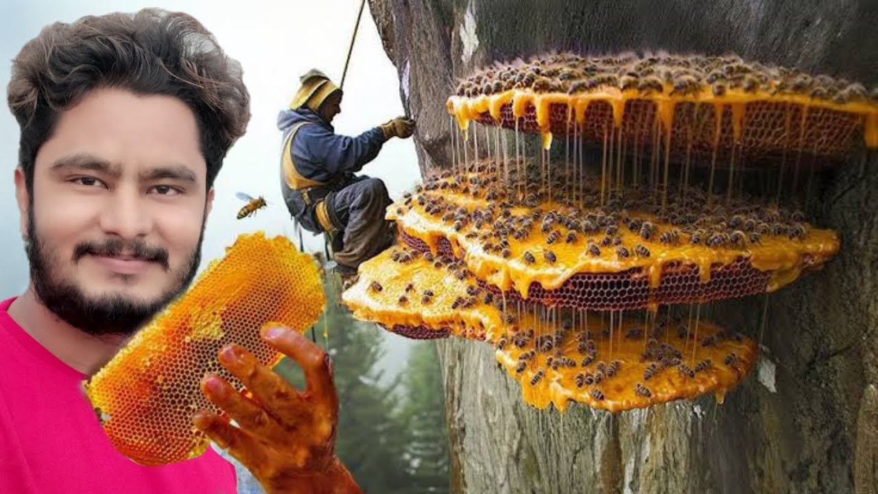 🐝Beekeeping || Honey Bee Farming || Dangerous Bee Hive Exploration Adventure #ruhi&ccedil;enet