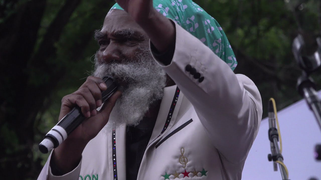 Don Carlos and Dub Vision 'Just A Passing Glance' Right Vibes Festival June 19 2021