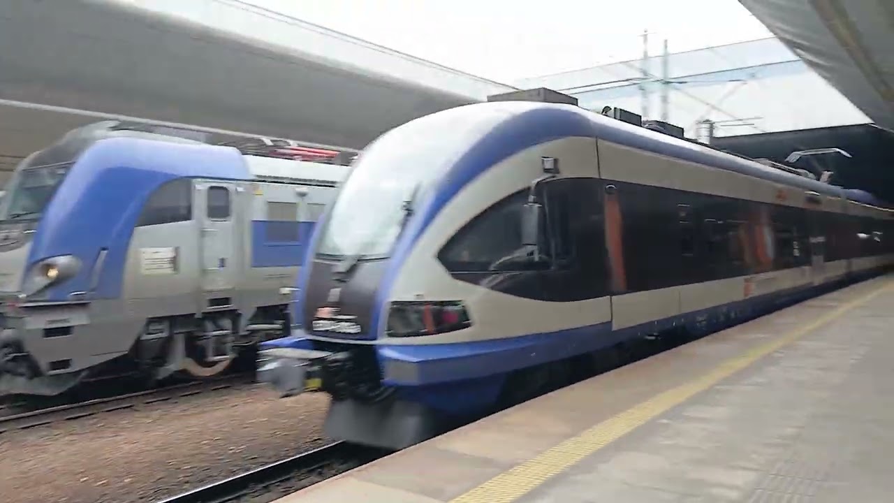 Pkp