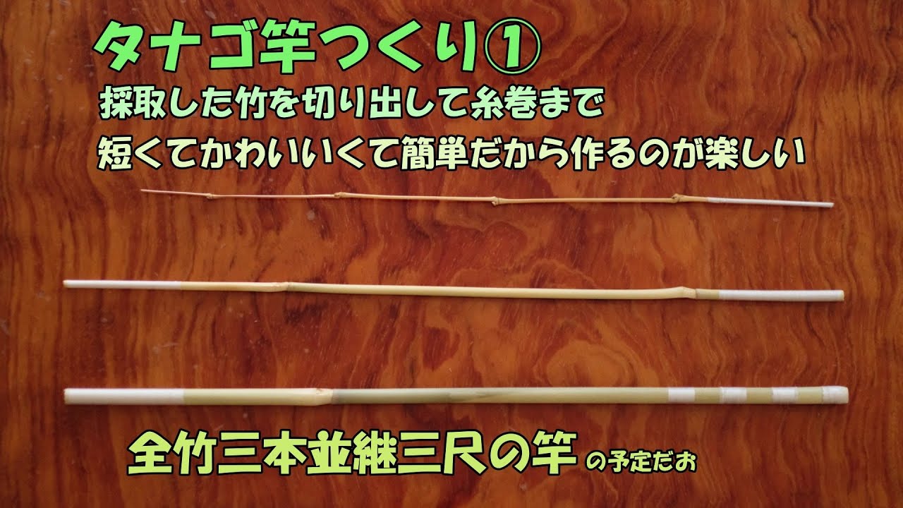 採取した竹でタナゴ竿をつくる①　竹の切り出しから糸巻まで【竹竿作り】