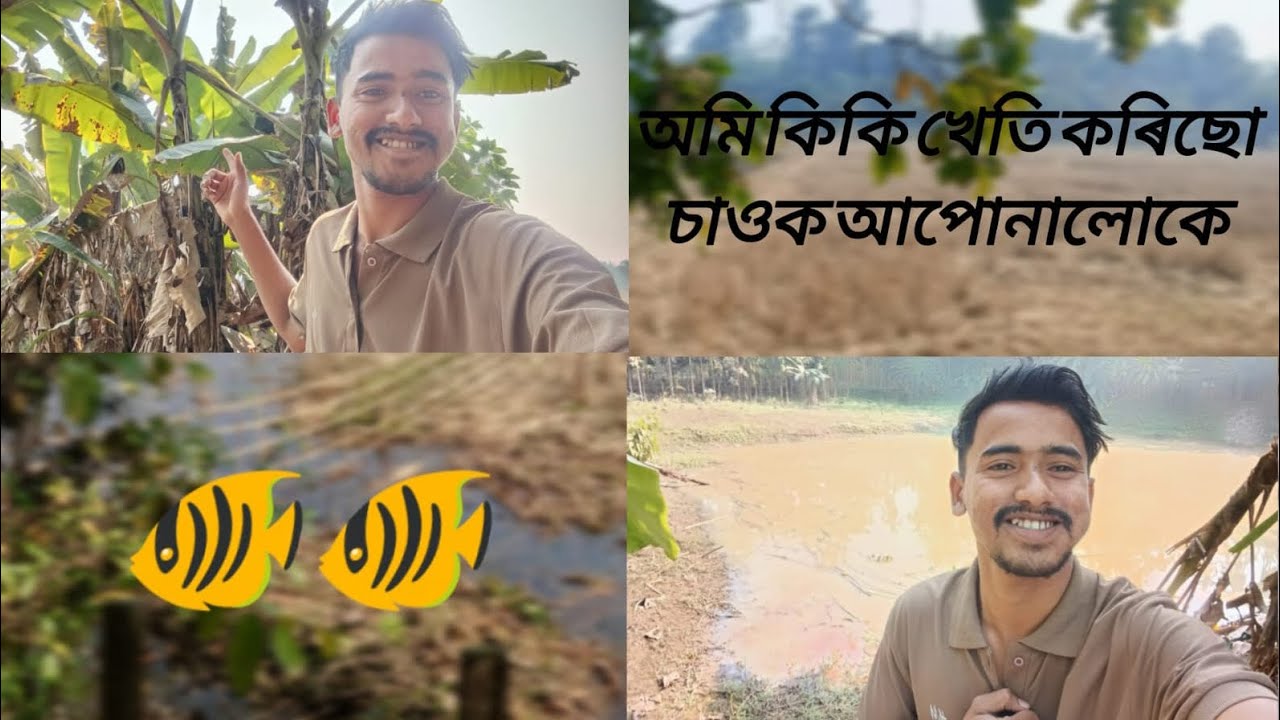 খেতি পথাৰত আজি অলপ 🌱🌾/kheti potharot aji olp 