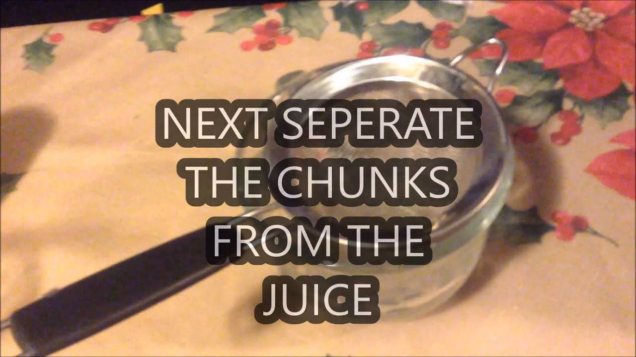 extracting dna from a tomato