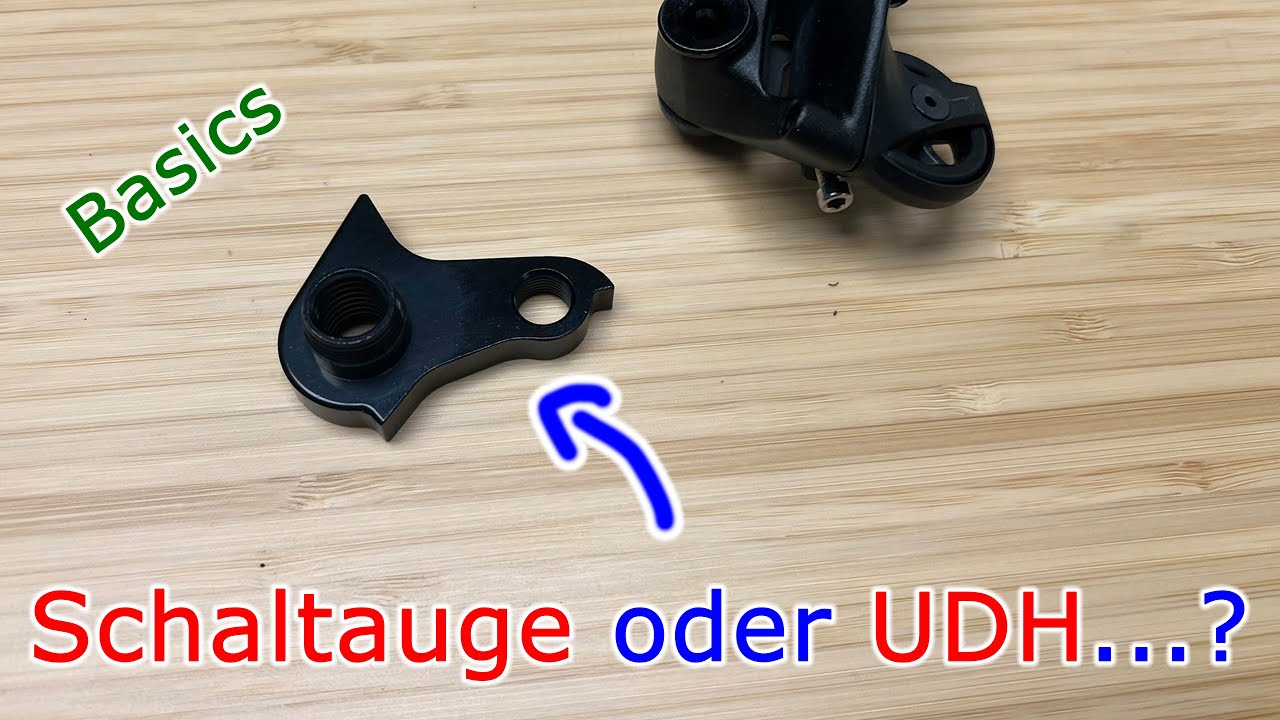 Schaltauge oder UDH am (e)Bike // Die Basics