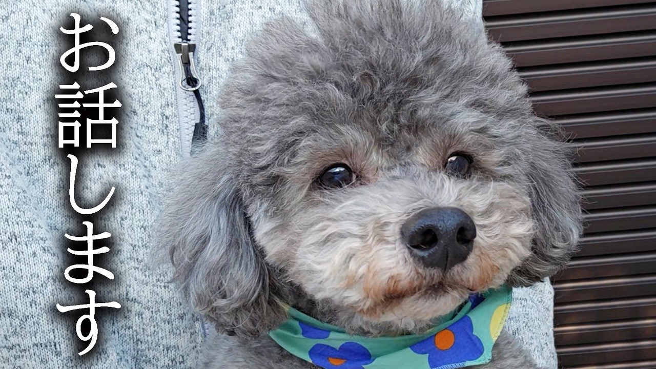 今後について皆様にお知らせがあります...