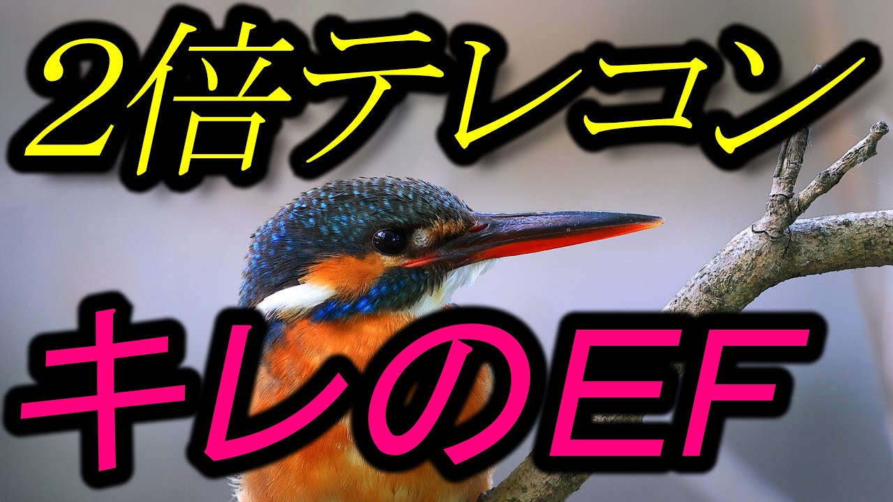 ２倍テレコンでも、キレのＥＦレンズ・・・