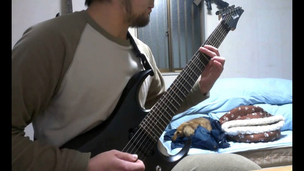 Nile - Enduring The Eternal Molestation of Flame (guitar cover)