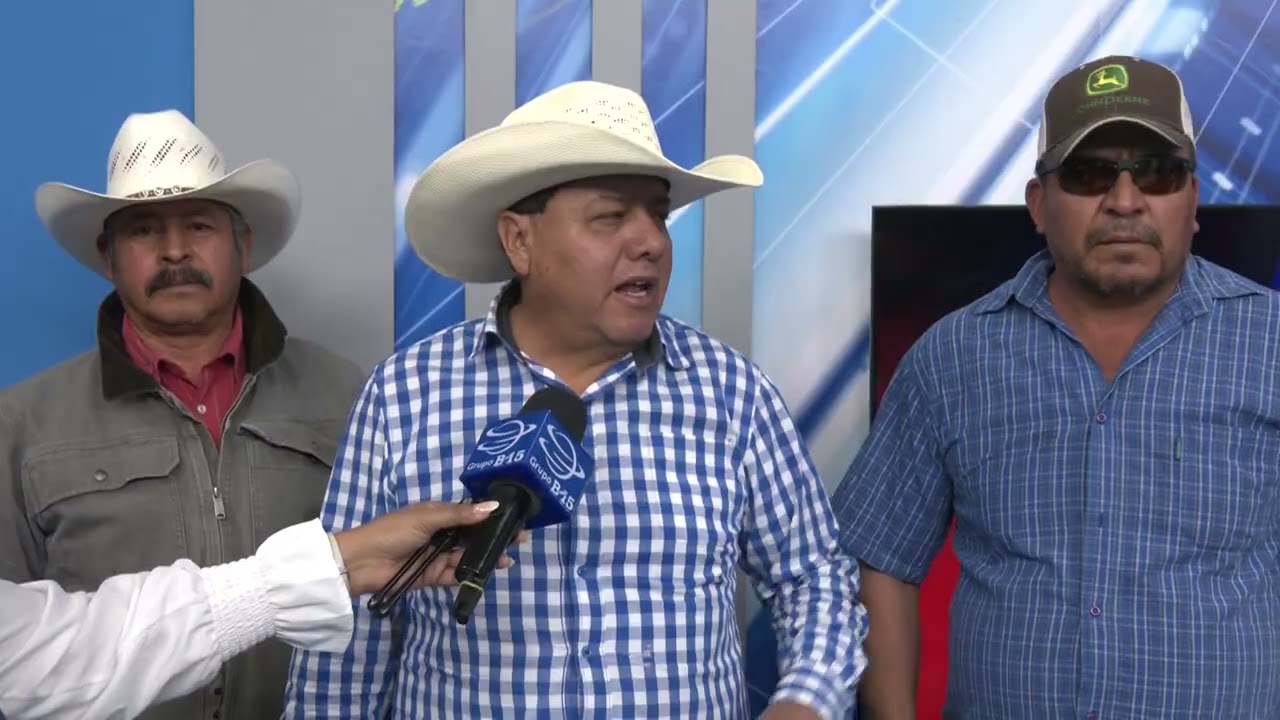 Continúan las afectaciones a productores de frijol