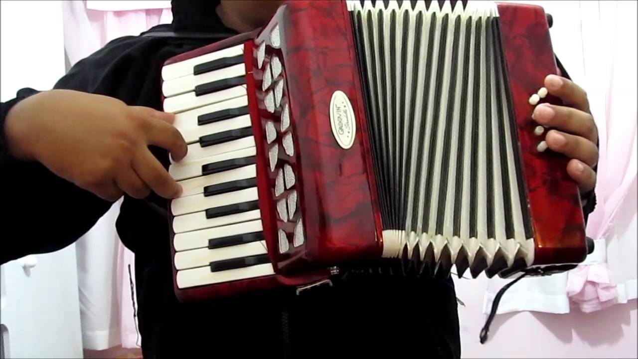 Acordeon 8 baixos