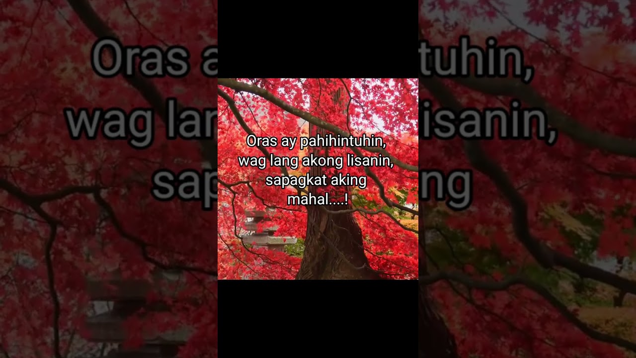 Tayo Lang | Song and Lyrics | Original Composition | AI music