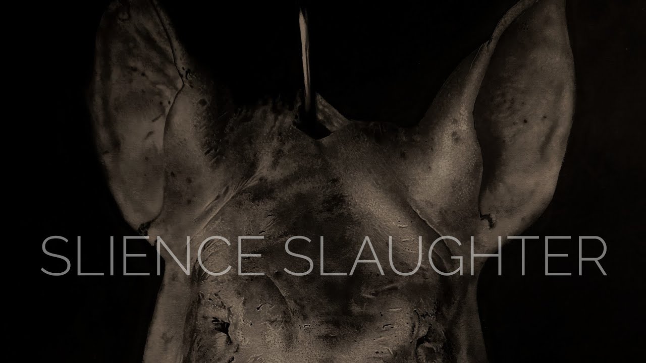 Hyperrealistic drawing slience slaughter timelapse video || Indian nepali artist ||