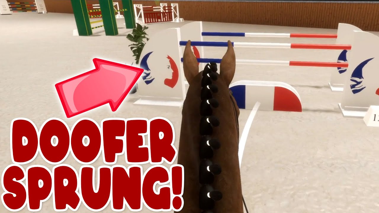 Es wird nicht leichter... 🐴 Pro Show Jumping
