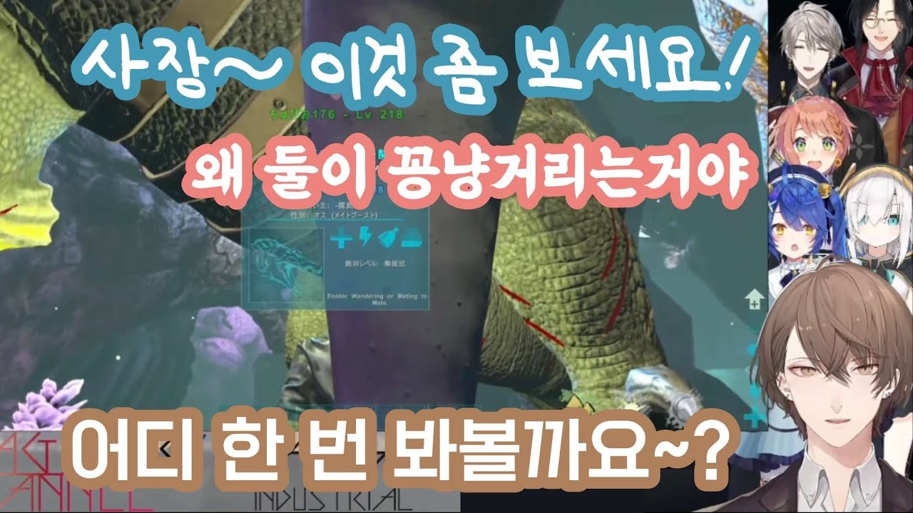 아무튼 칭찬이 받고 싶은 버튜버 [니지산지/카가미 하야토/카이다 하루/혼마 히마와리/쉐린 버건디]