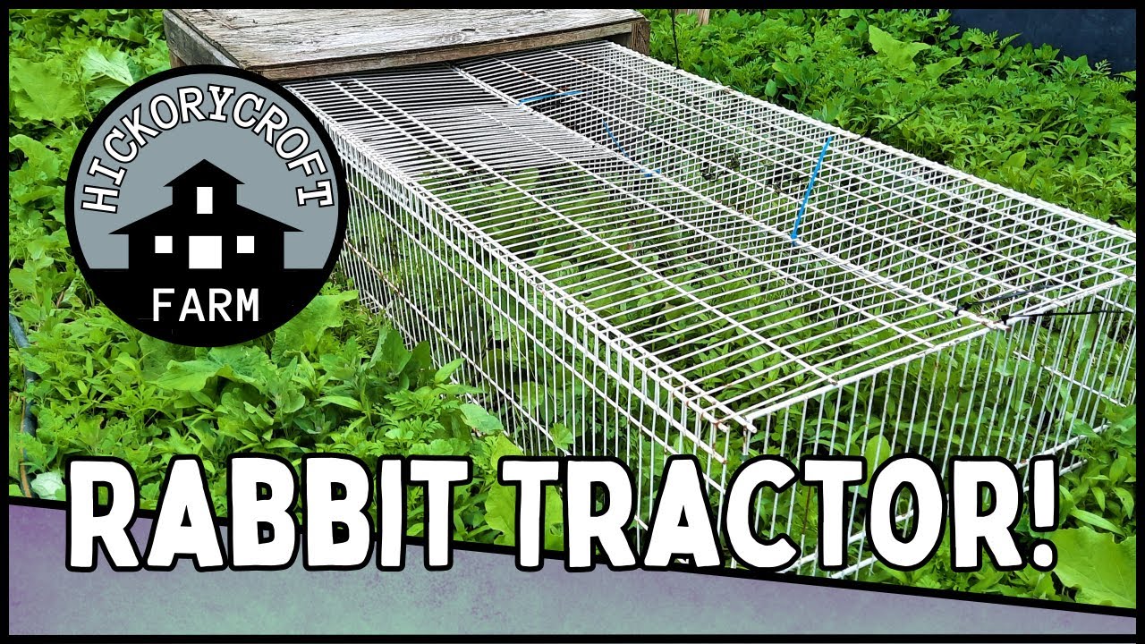 DIY Rabbit Tractor: We Built a Low-Cost Pasture Pen from Wire Shelving!