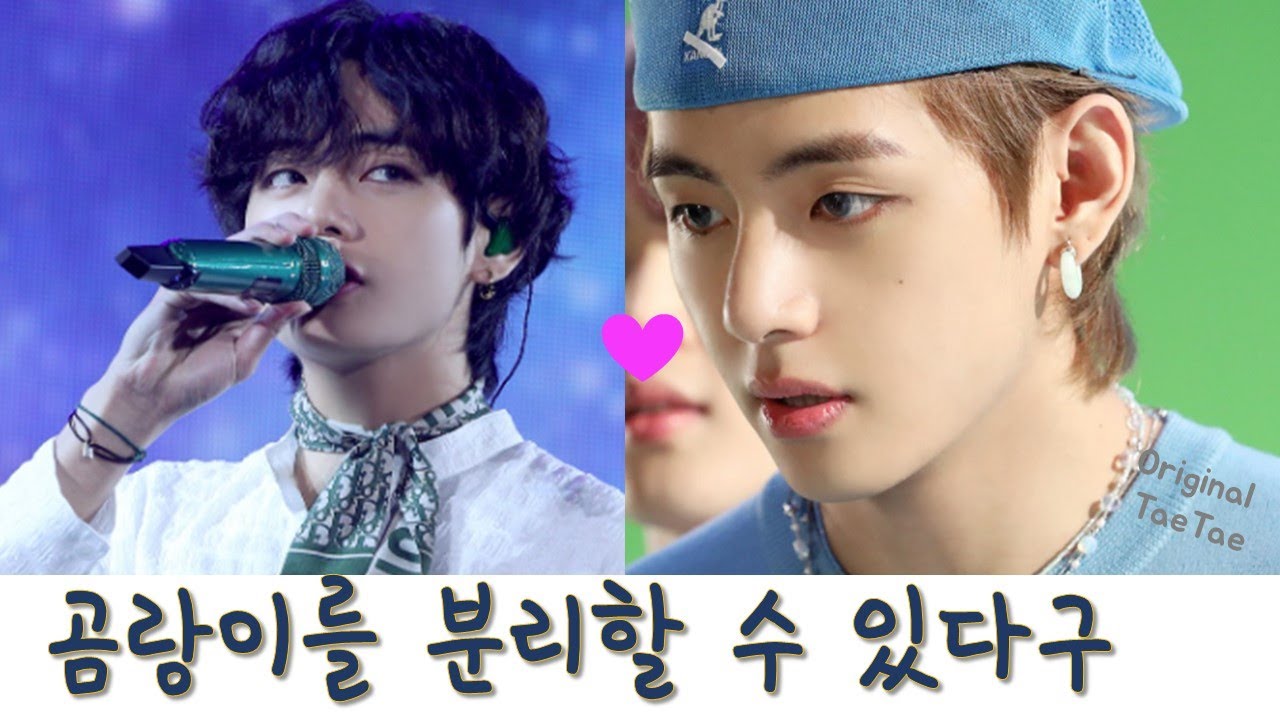 무해한 곰돌과 치명적 호랑이의 야누스적 매력 감당할 수 있겠어