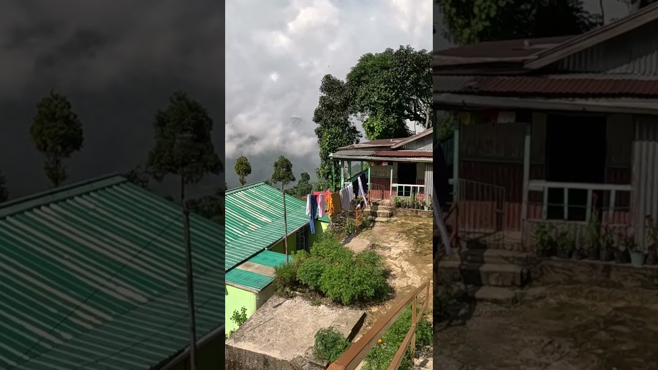 in the mountains #darjeeling #offbeatdarjeeling #rangaroon #northbengal #prtm #homestay #staycation