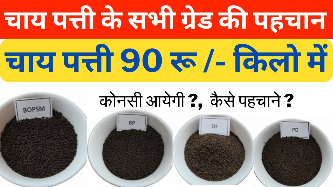 चाय पत्ती के सभी ग्रेड कौन - कोनसे  होते हैं all type tea grade C.T.C चाय की ग्रेड Types of CTC Tea