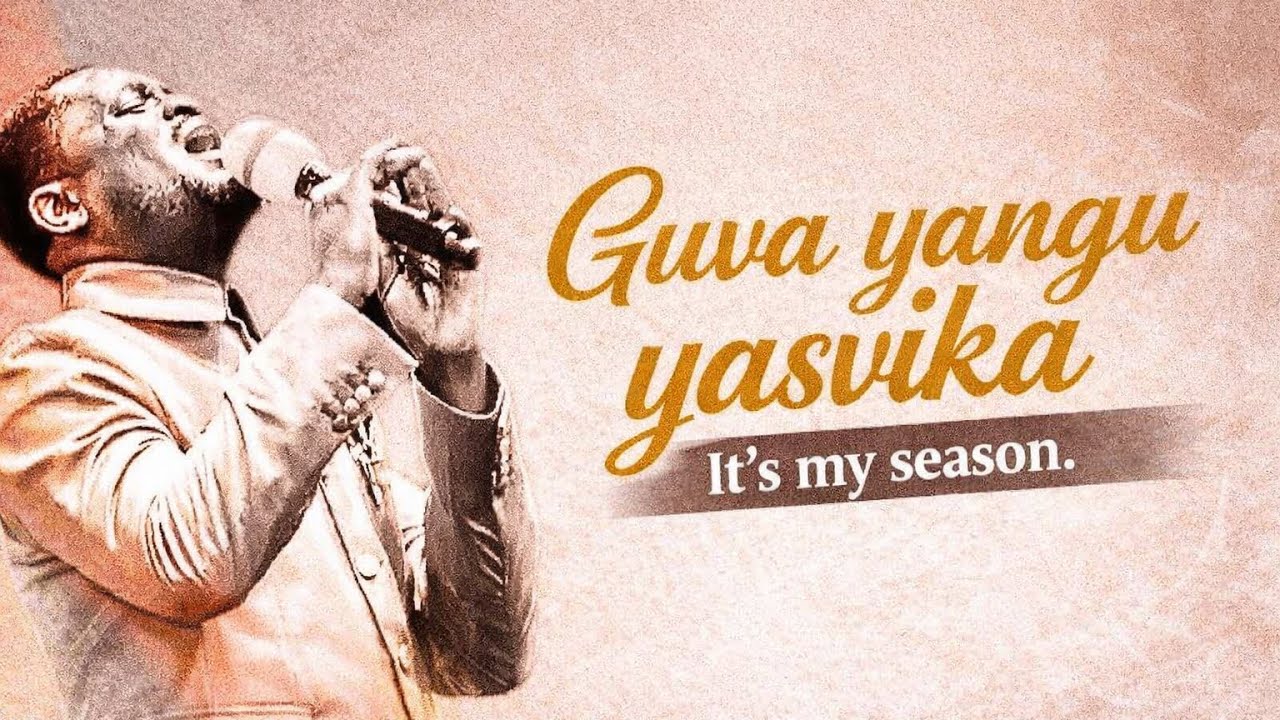 Guva yangu yasvika it’s my season 