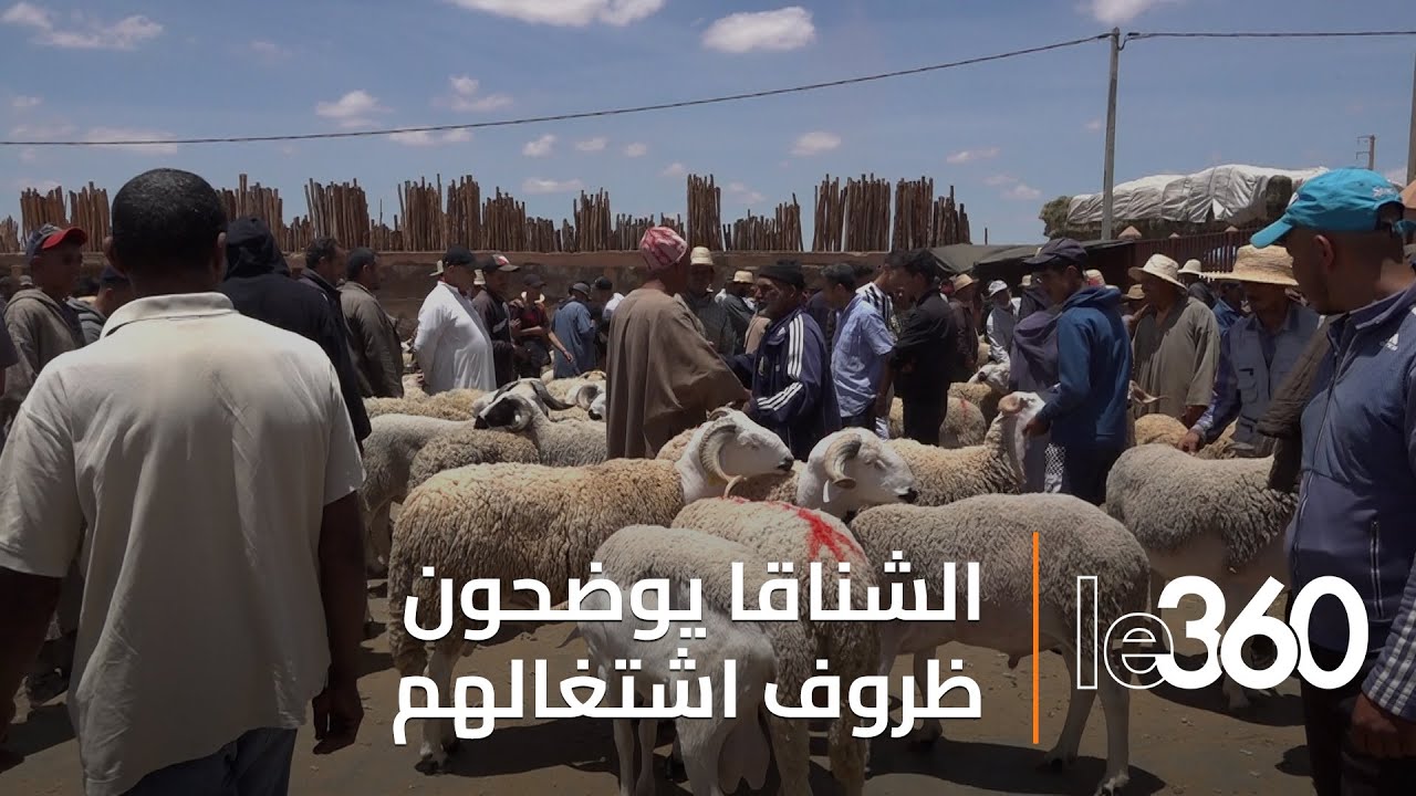 إقبال محتشم على أضاحي العيد بضواحي مراكش.. و