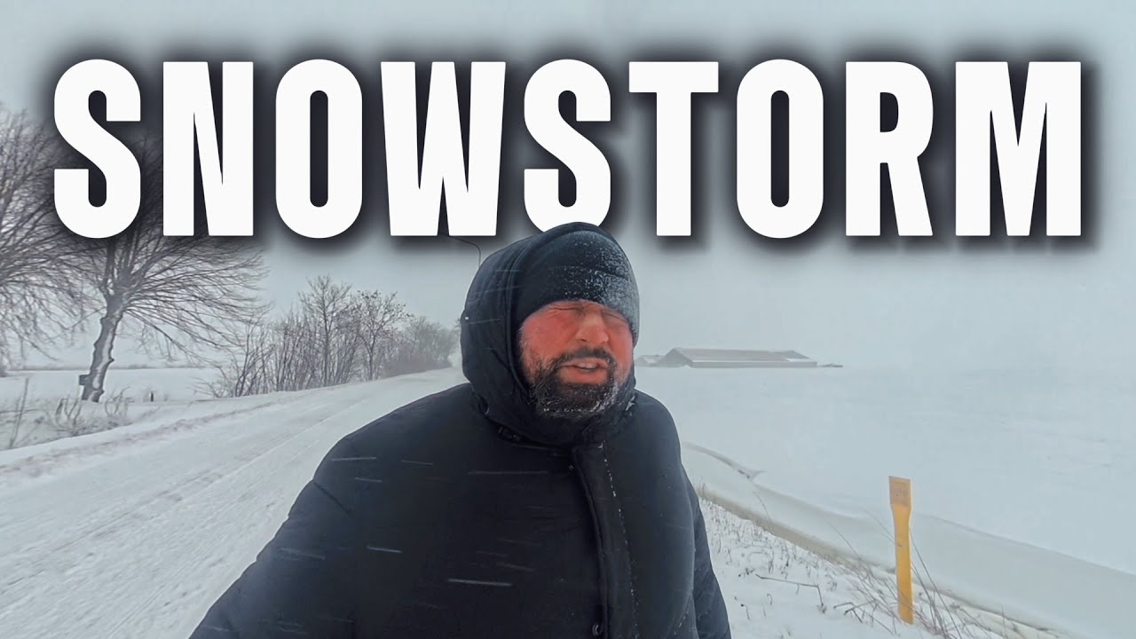 I Walked Into a Snowstorm in the Netherlands ❄️