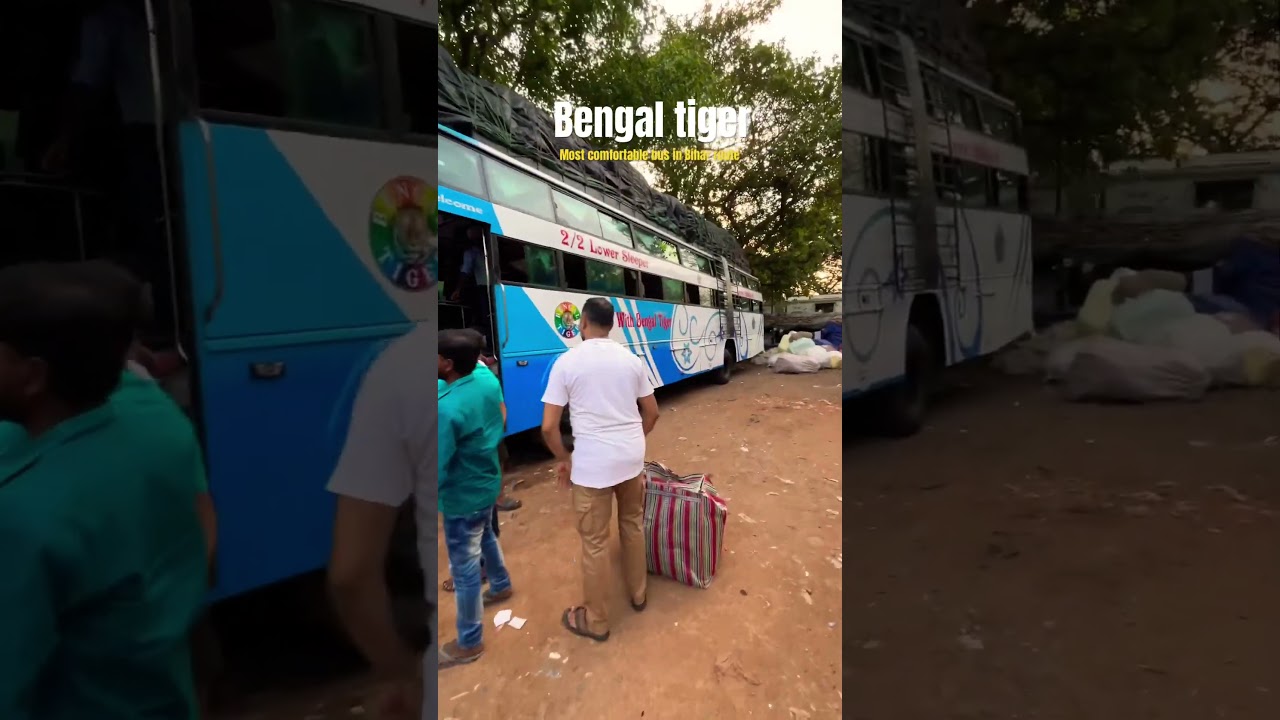 Bihar bus | Bengal tiger | #shorts #feedshorts #bus #nawada #bihar #kolkata #trending #travel #song