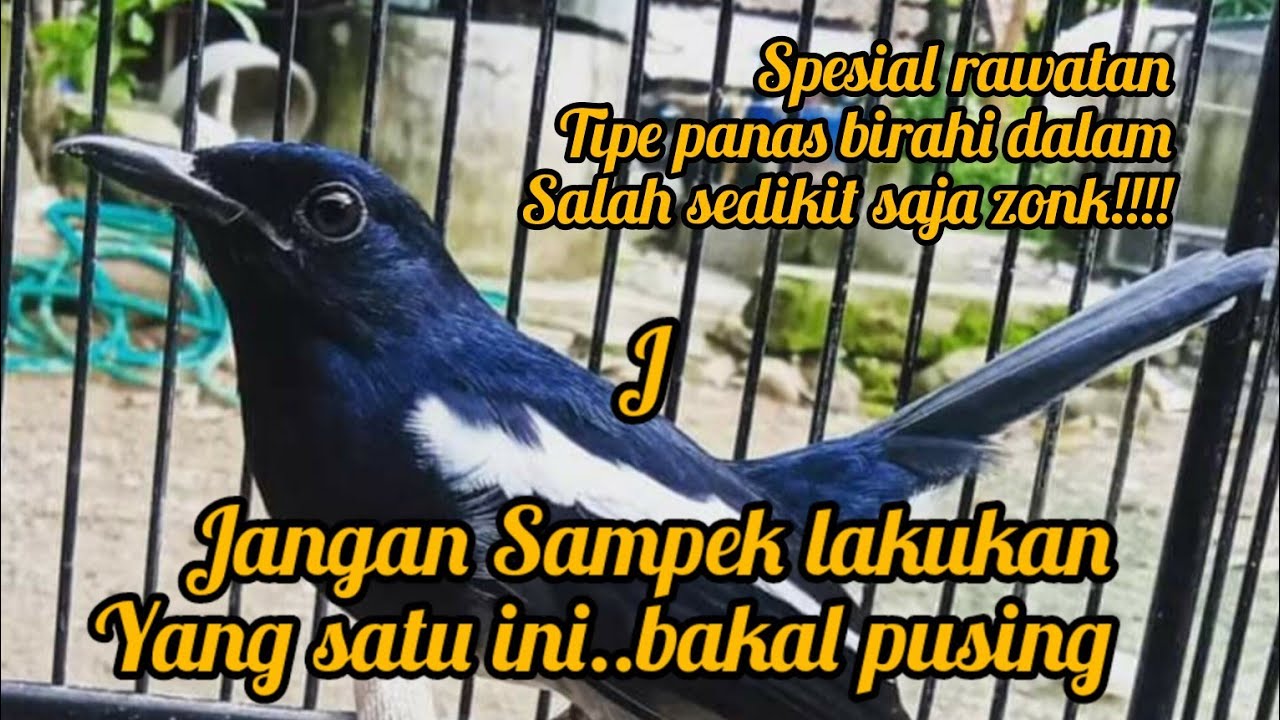 RAWATAN KACER TIPE PANAS BIRAHI DALAM