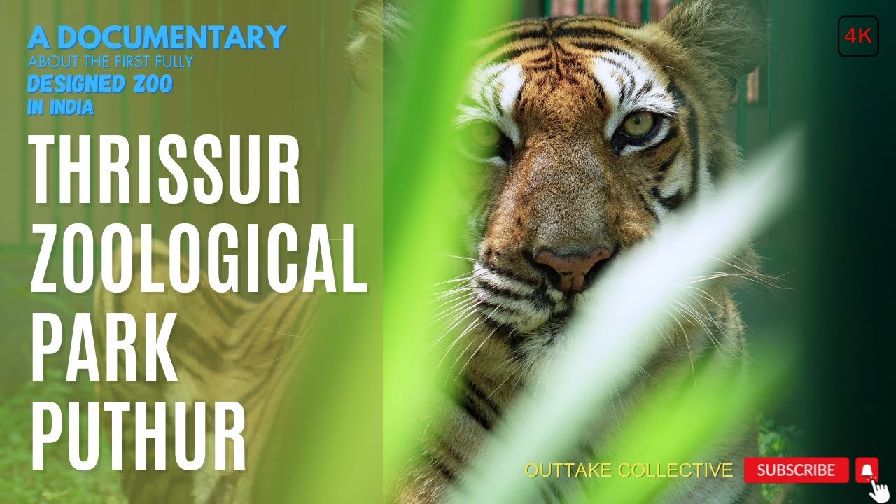 THRISSUR ZOOLOGICAL PARK PUTHUR.പുത്തൂർ സുവോളജിക്കൽ പാർക്ക്,  കടുവകൾക്ക് ഇവിടം സ്വർഗ്ഗമാണ് !!!