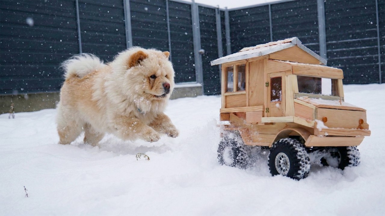 DIY RC truck camper vs. Chow Chow 🐕 🌨️ 🛻