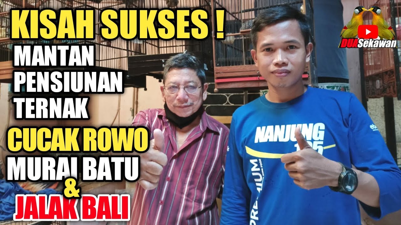 GREBEK ! PETERNAK CUCAK ROWO TERBESAR TARLIM CONDET -JAKARTA TIMUR