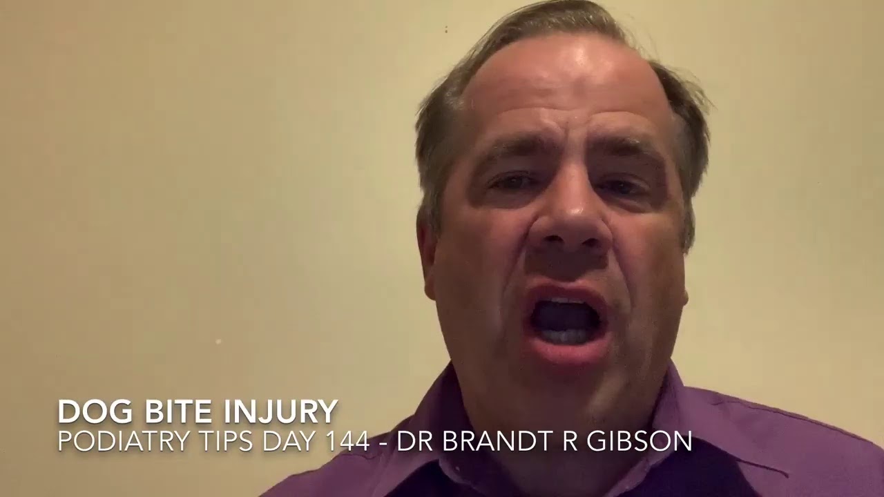 Dog Bite Injury
