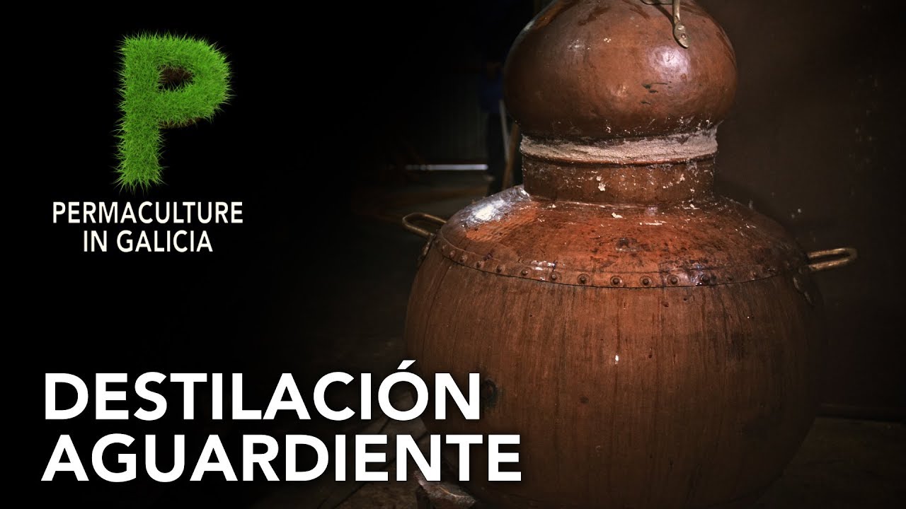 Destilación aguardiente gallego | 4K Español | Permacultura en Galicia