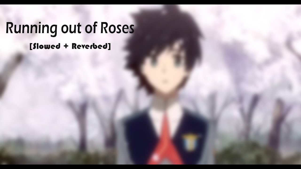 Alan Walker x Jamie Miller - Running out of Roses [ Slowed + Reverbed ] | Sober