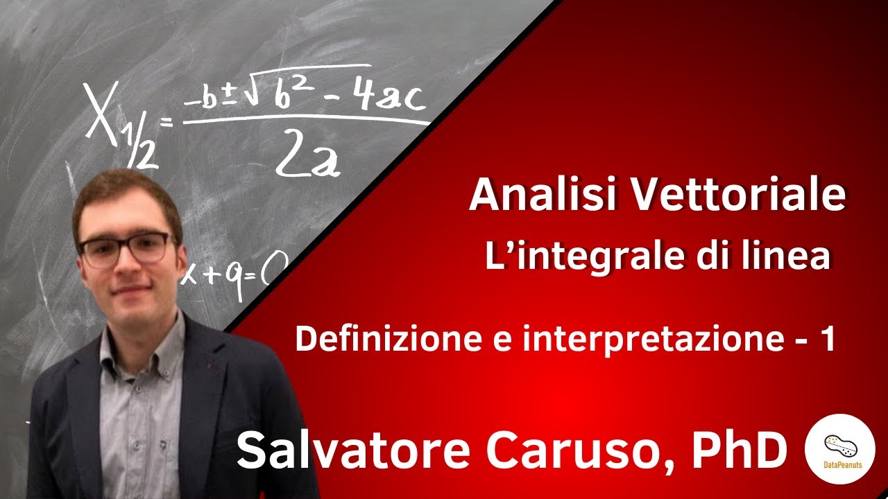 Analisi vettoriale - L' integrale di linea - Definizione e interpretazione - 1