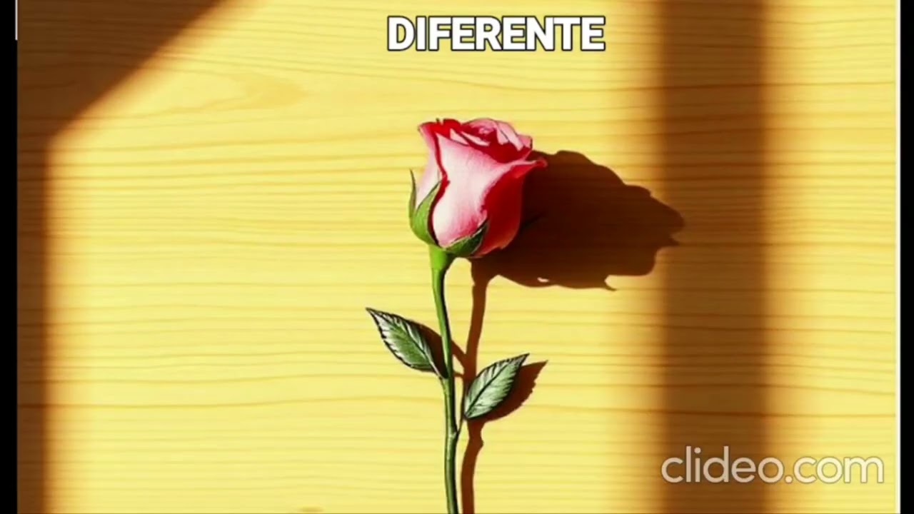 DIFERENTE
